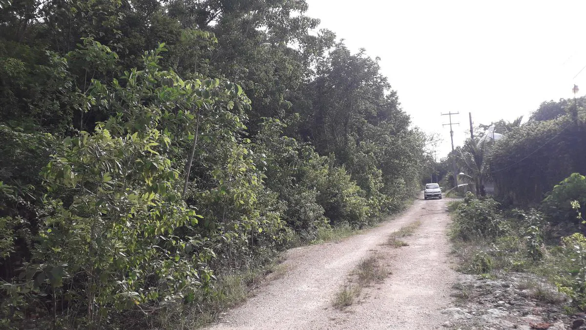 Terreno Spot2