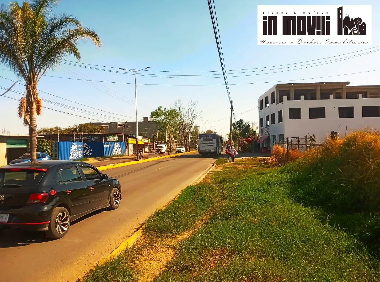 Terreno Spot2