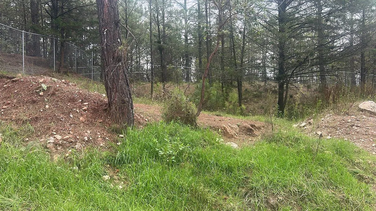 Terreno Spot2