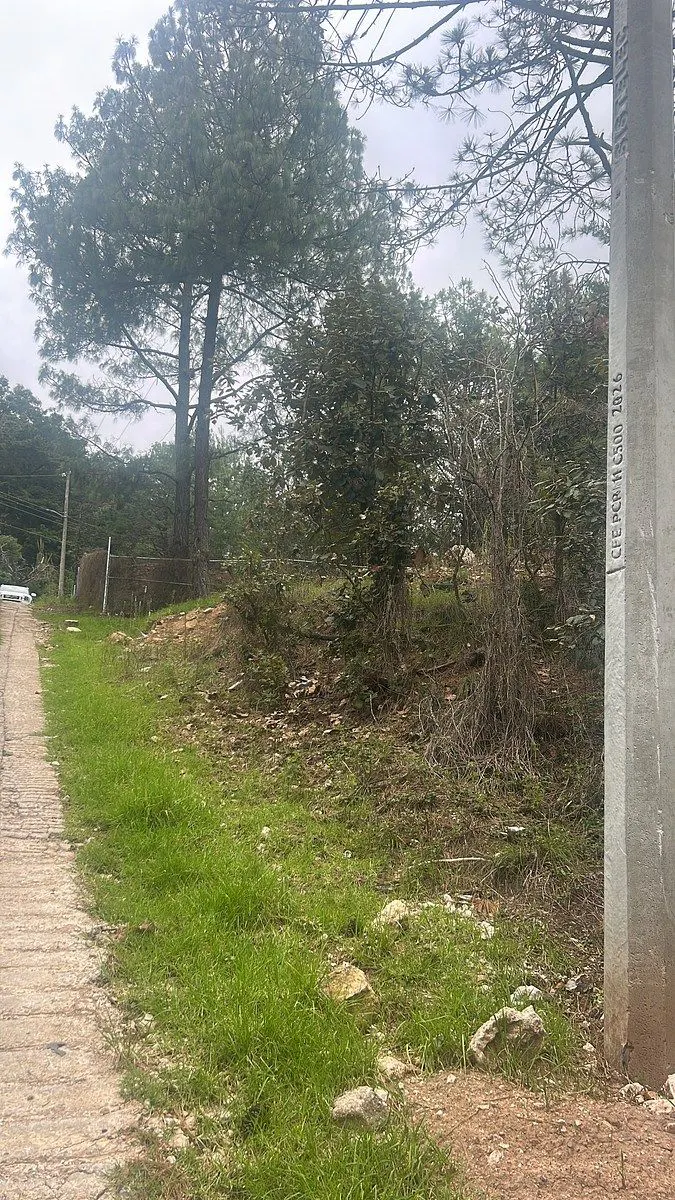Terreno Spot2