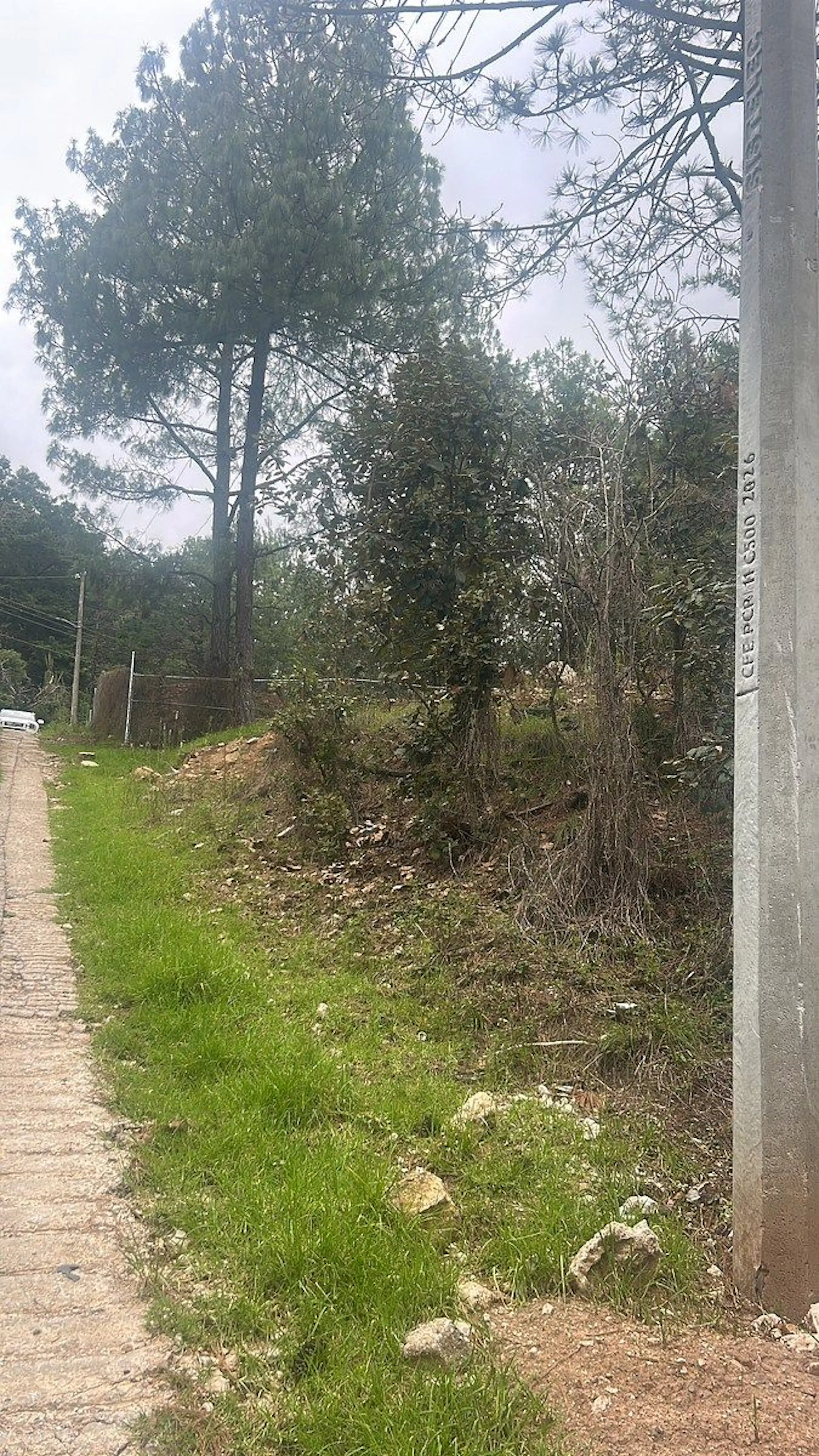 Terreno En Los Alcanfores