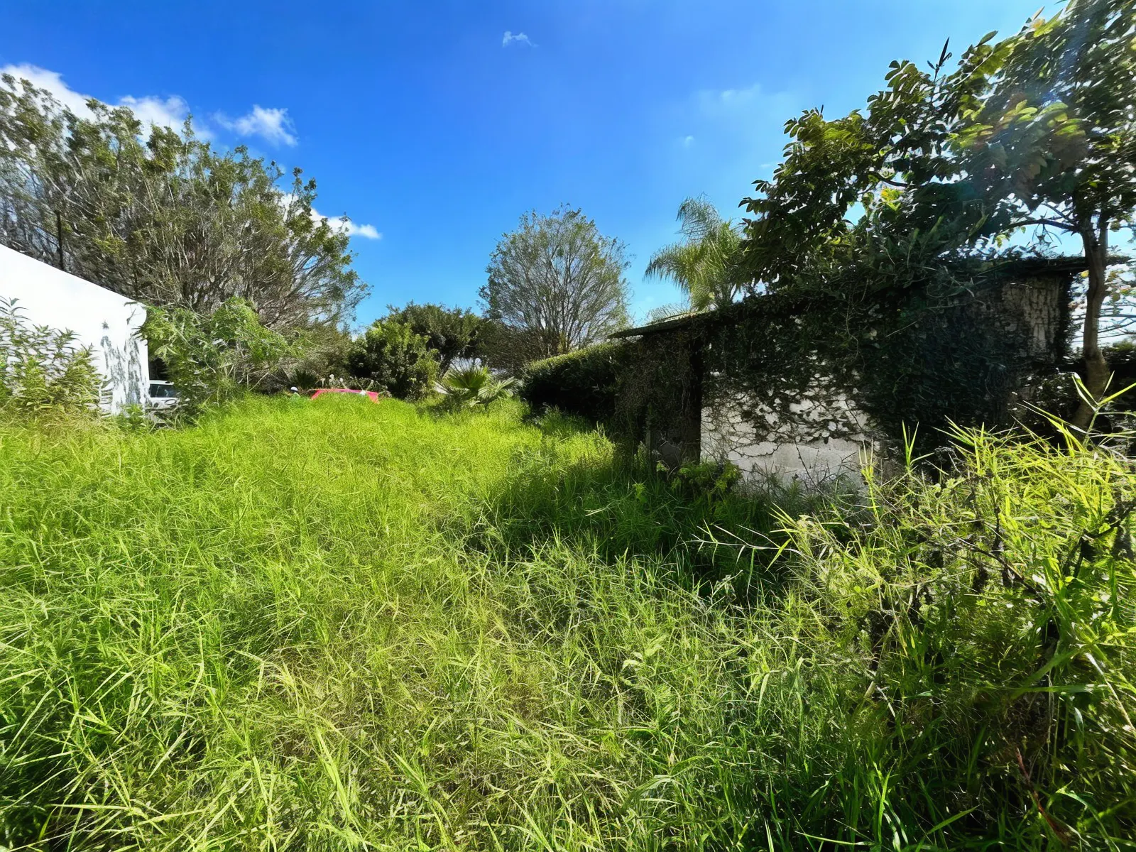 Terreno Spot2