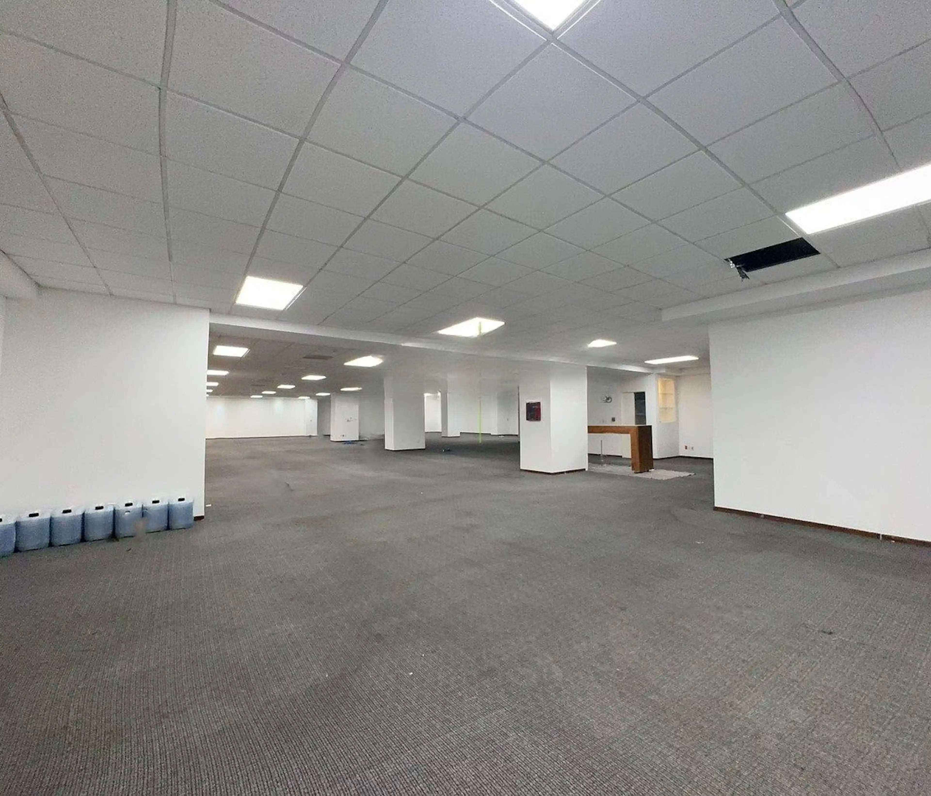 Avenida Ejército Nacional Mexicano