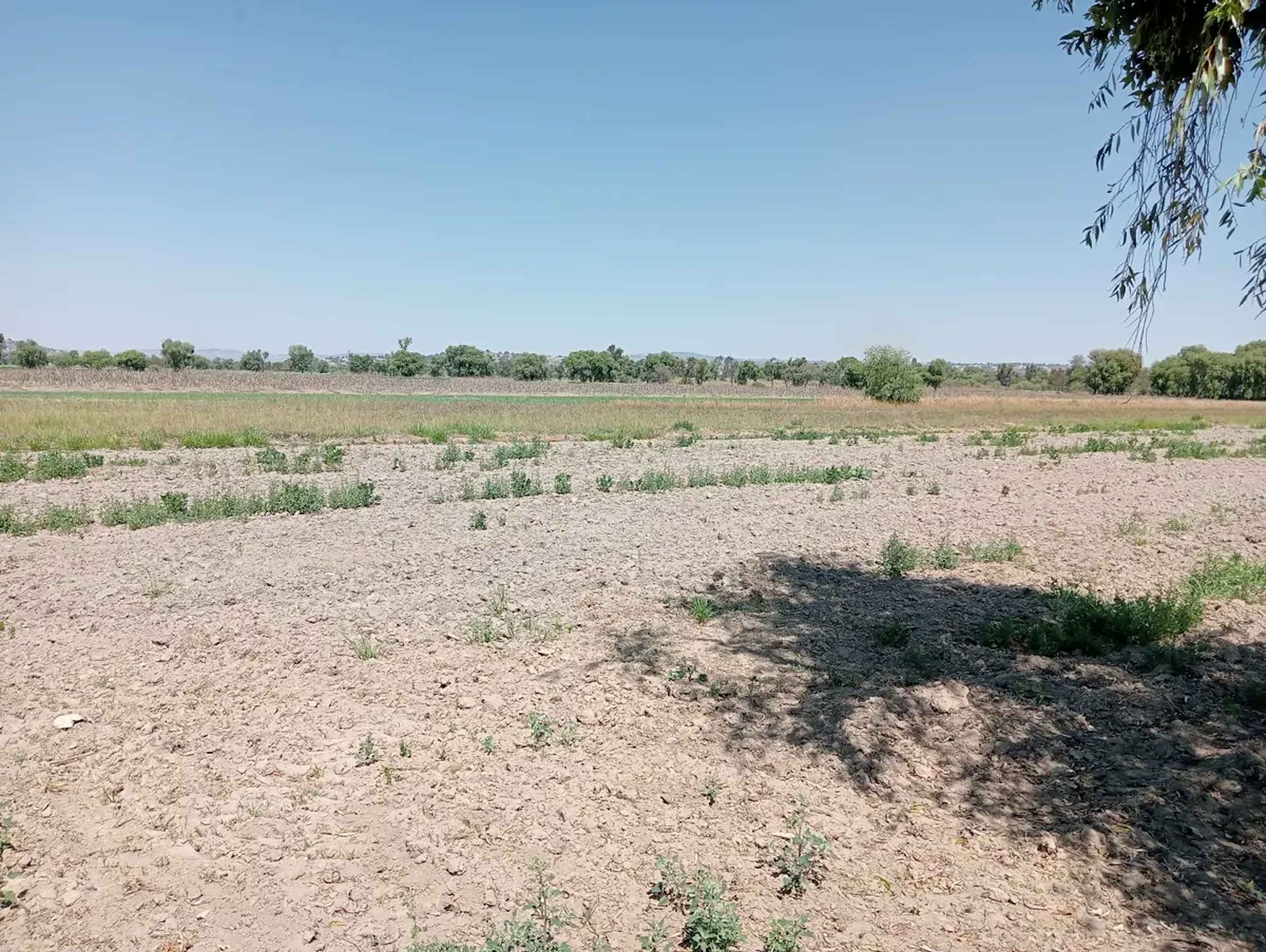 Terreno En Domingo Arenas, Zacatelco, Tlaxcala