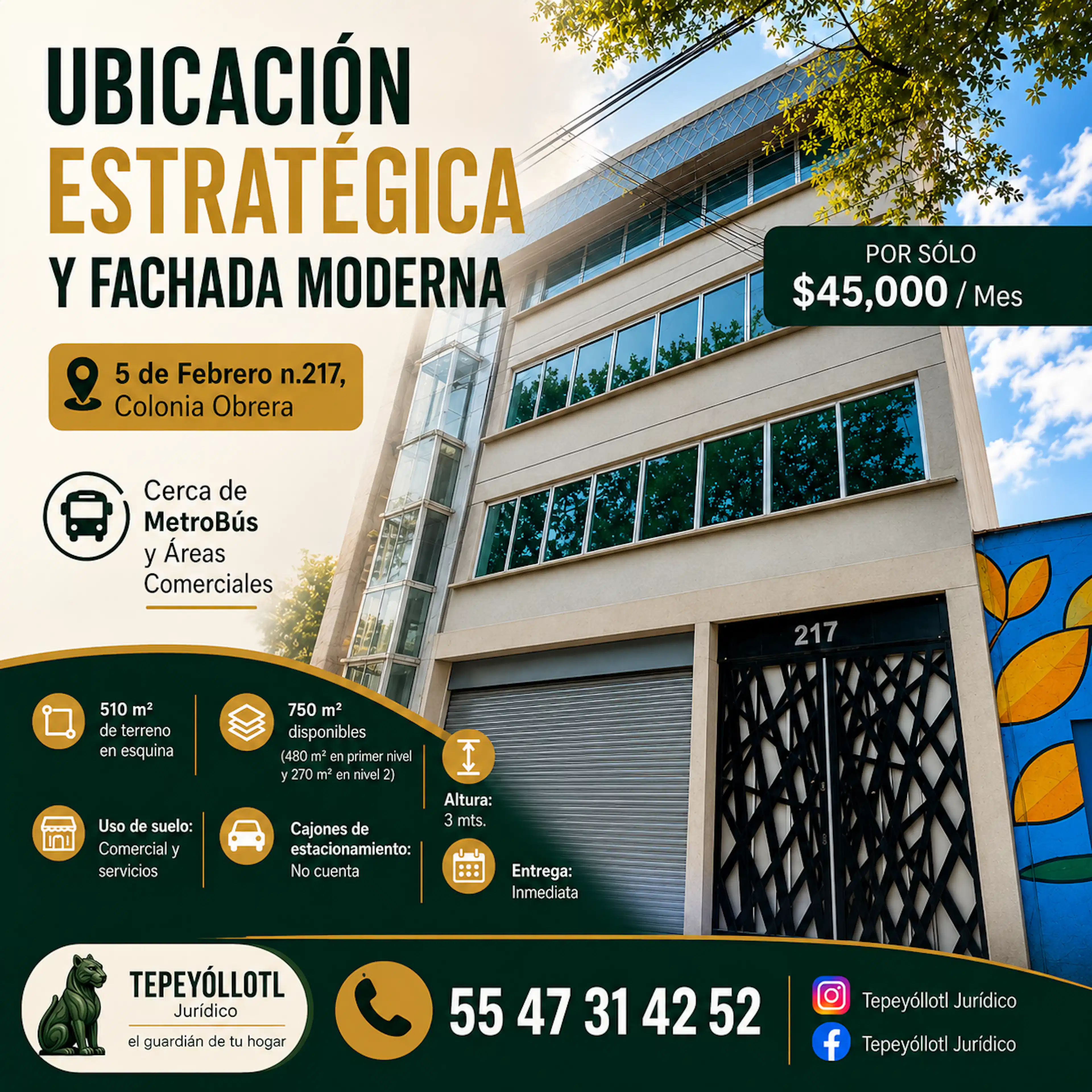 Calle 5 De Febrero 217