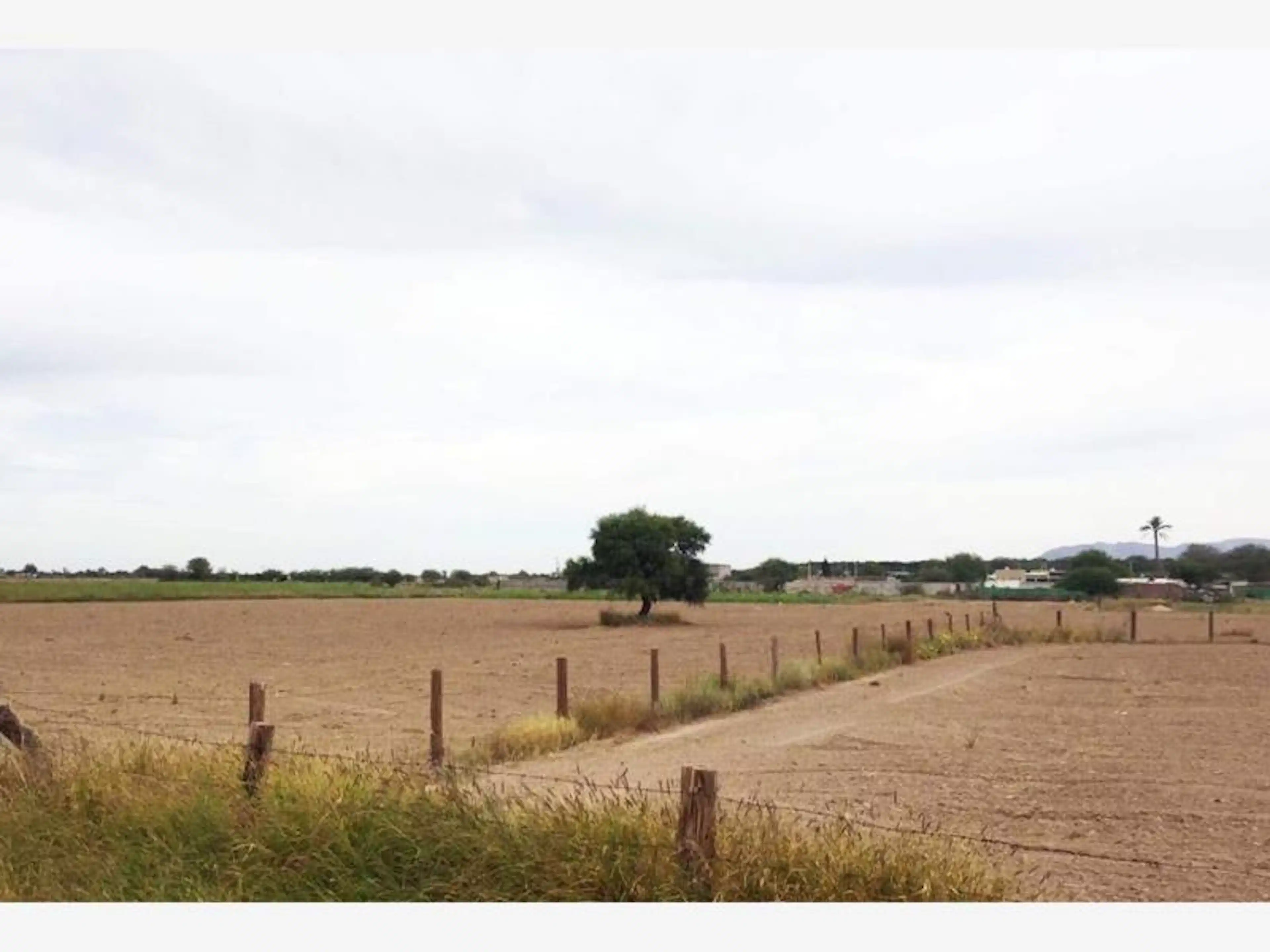 Terreno En Venta En Ejido Ana, Torreón, Coahuila De Zaragoza