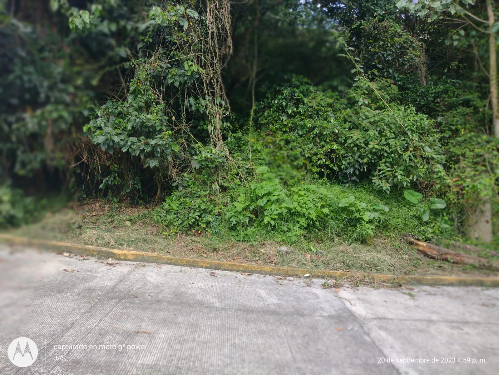 Terreno Spot2