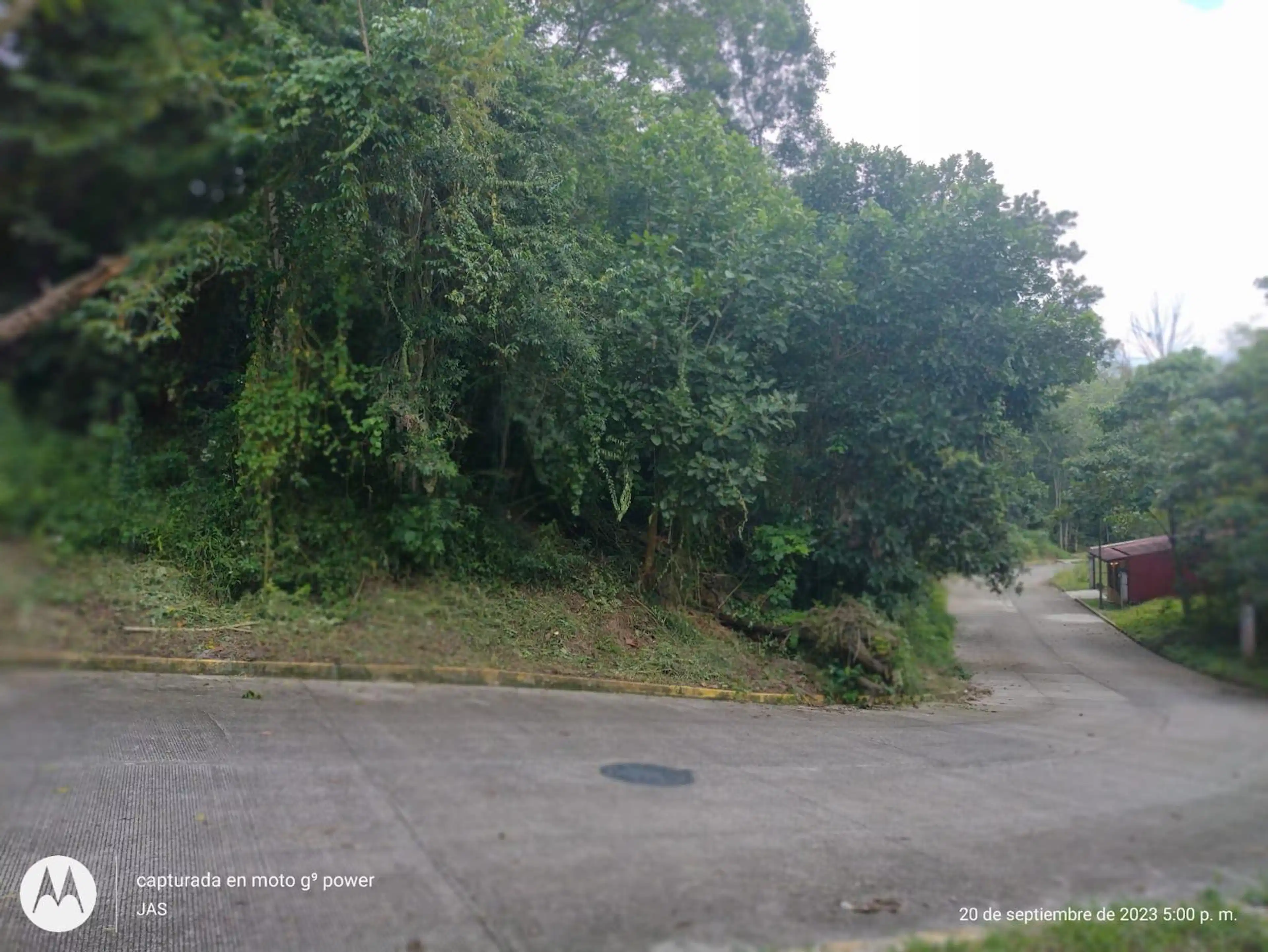 Terreno En Venta En El Fracc Las Orquídeas Coatepec