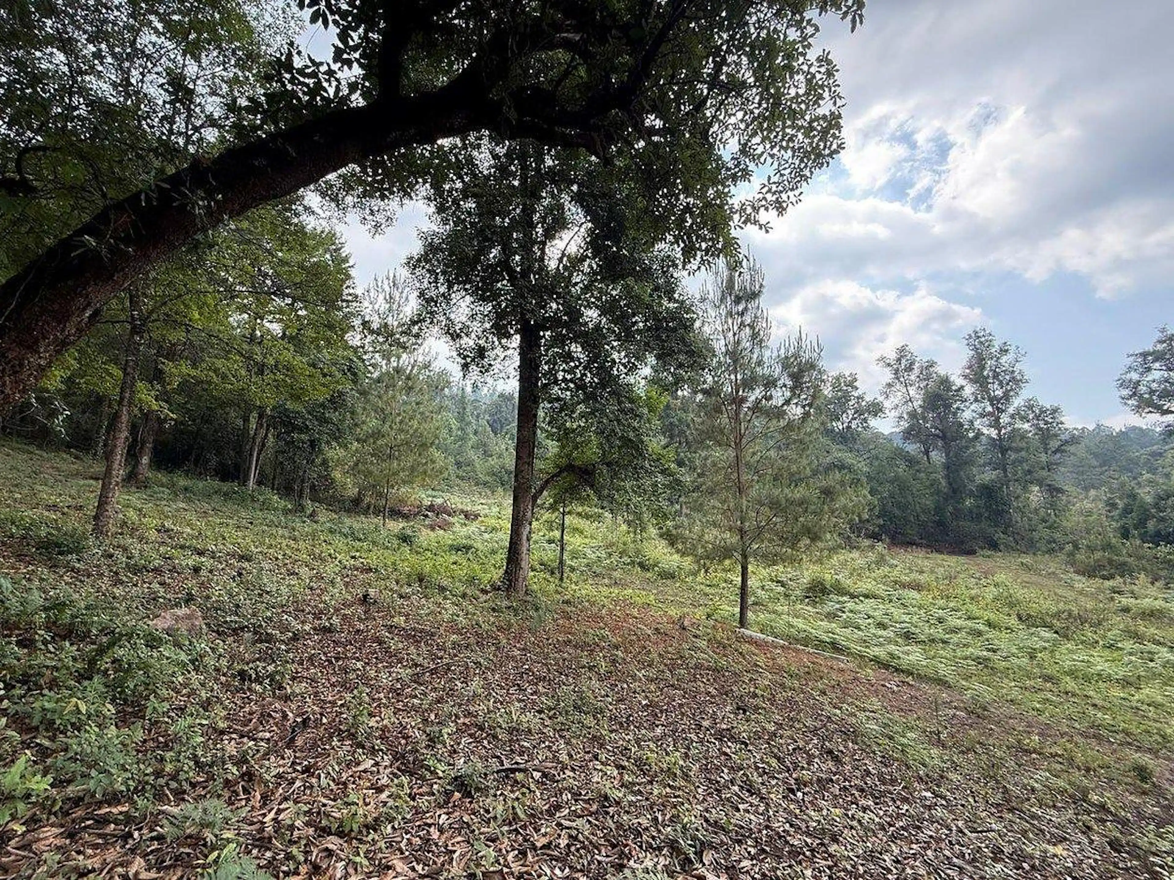 Terreno En La Cuadrilla, Valle De Bravo