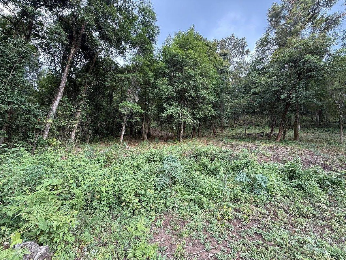 Terreno Spot2