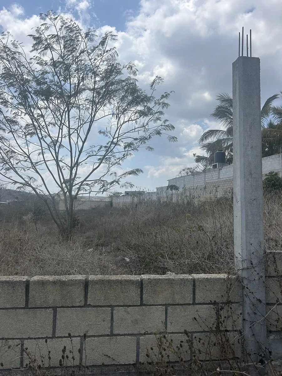 Terreno Spot2