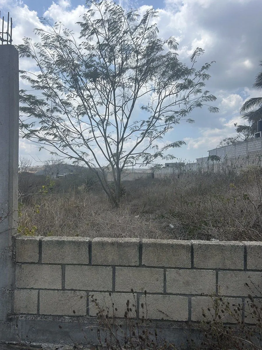 Terreno Spot2