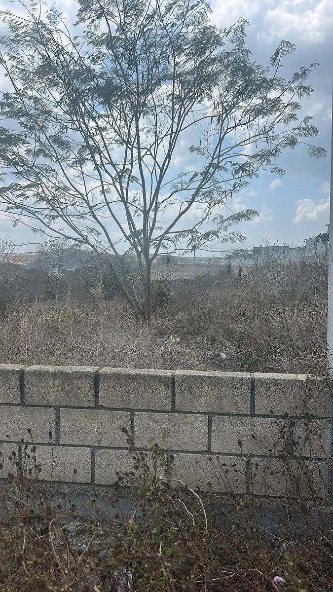 Terreno Spot2