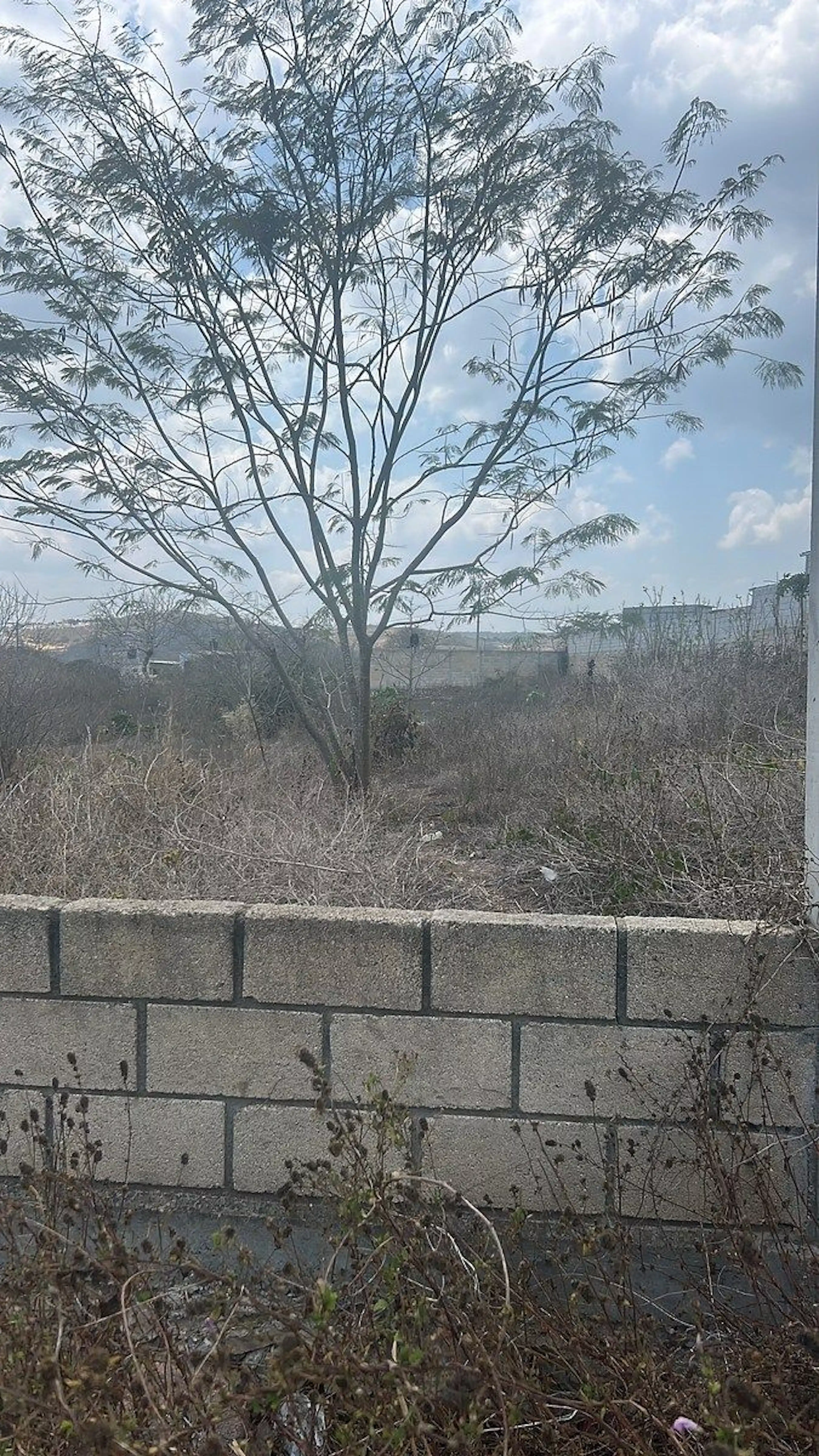 Terreno A La Venta En Berriozábal, Uso Mixto Con Todos Los Servicios!!