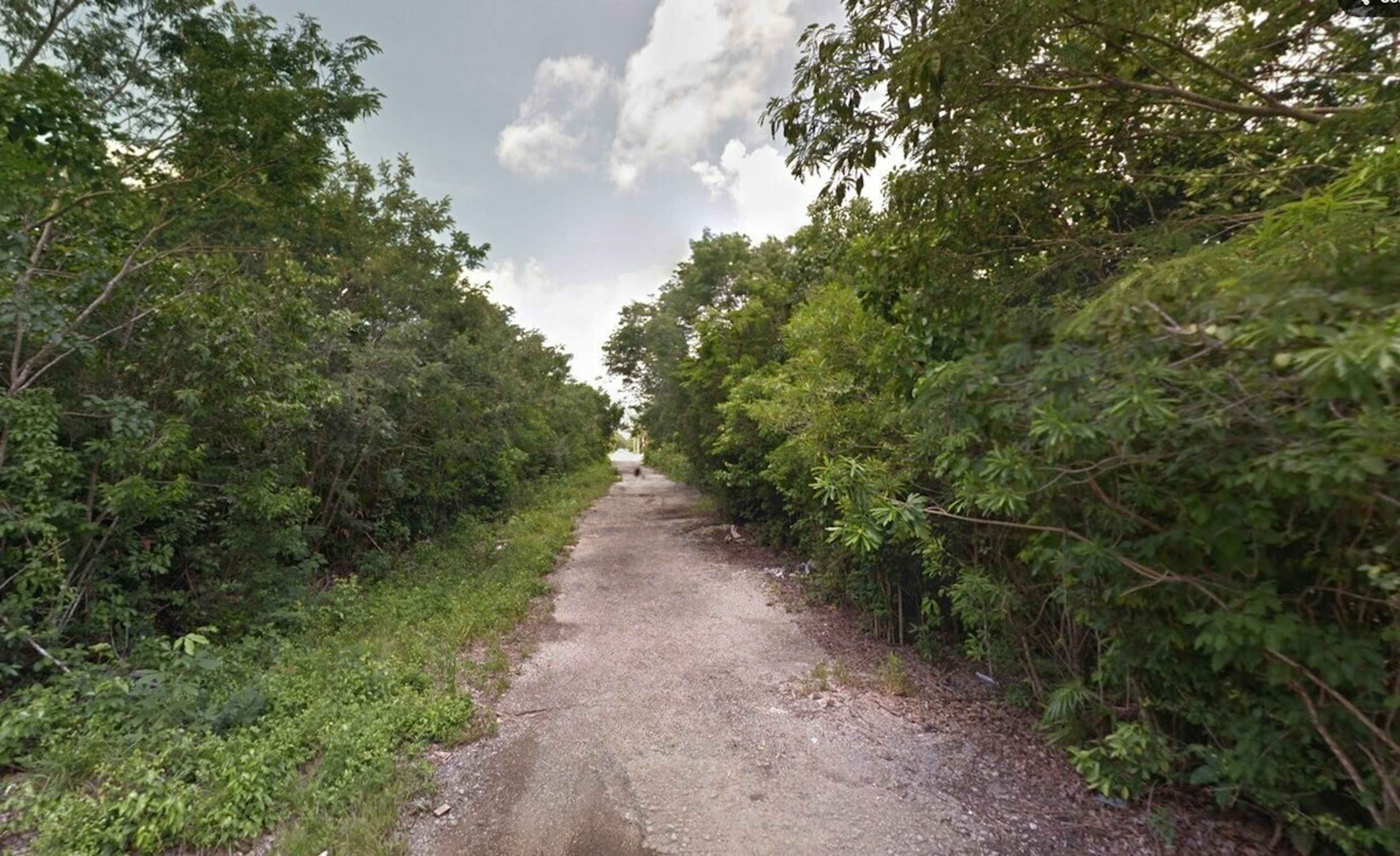 Miguel De La Madrid 1-01