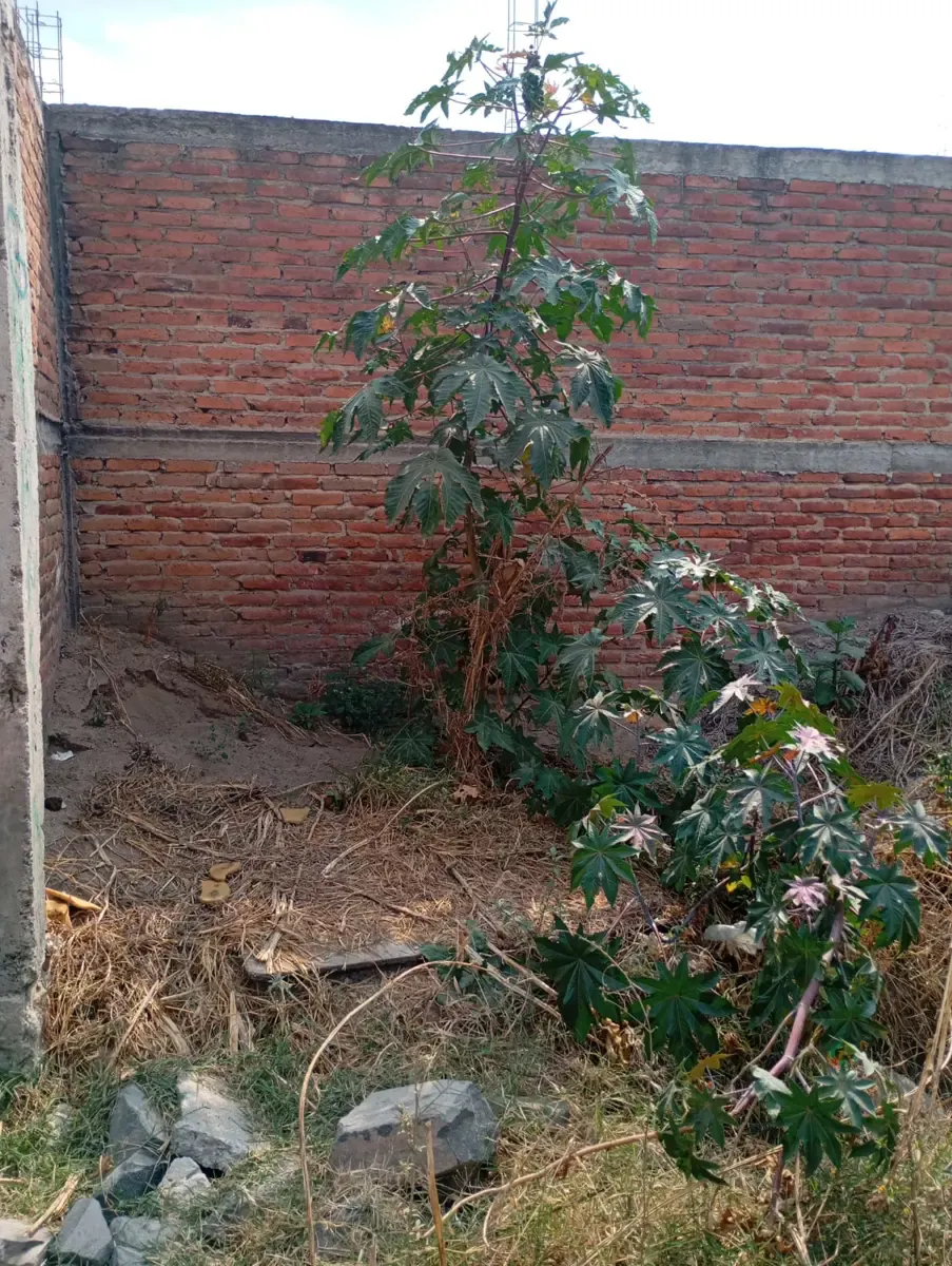 Terreno Spot2