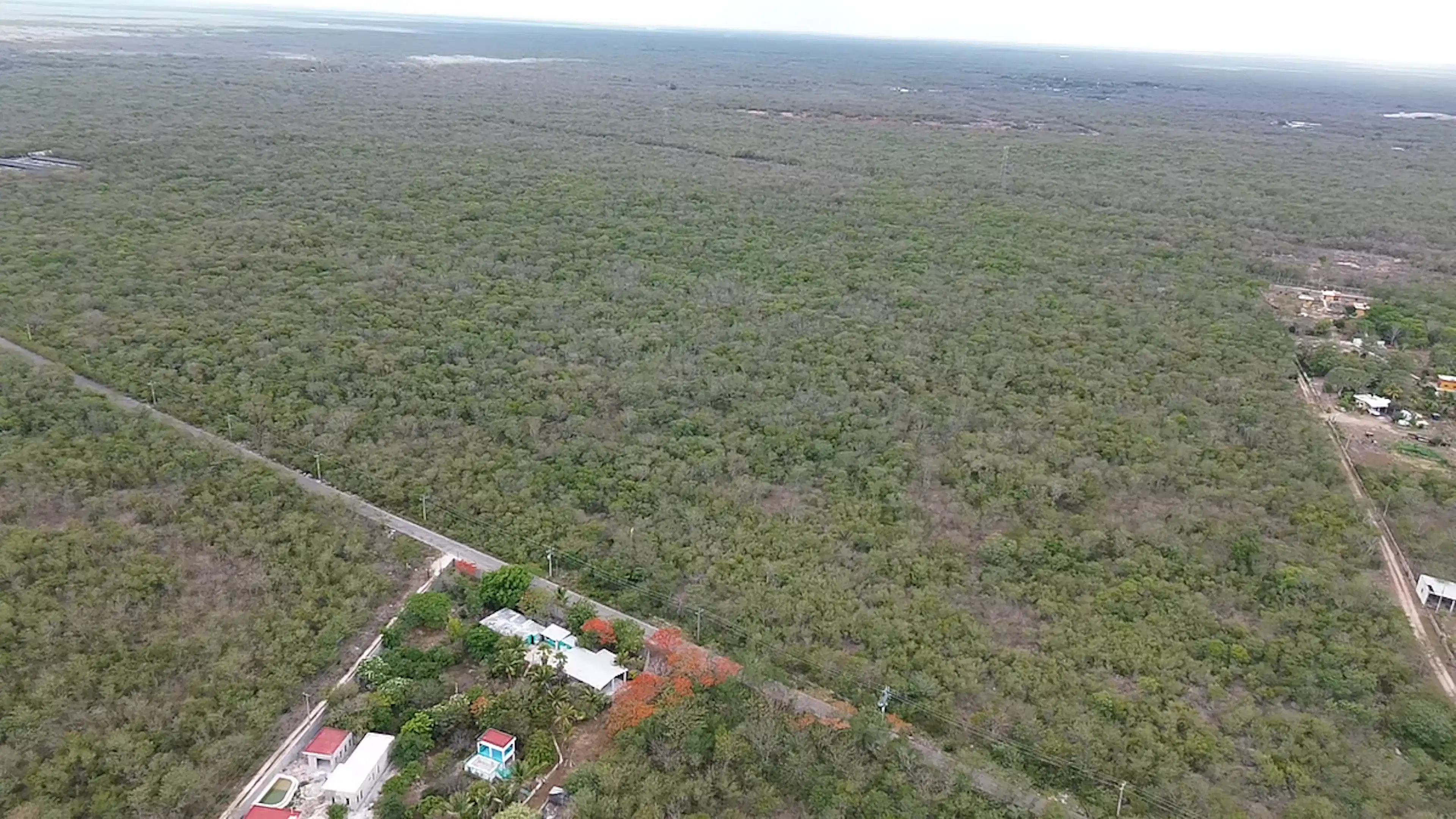 HectÁreas En Venta En San Antonio Tehuitz, KanasÍn