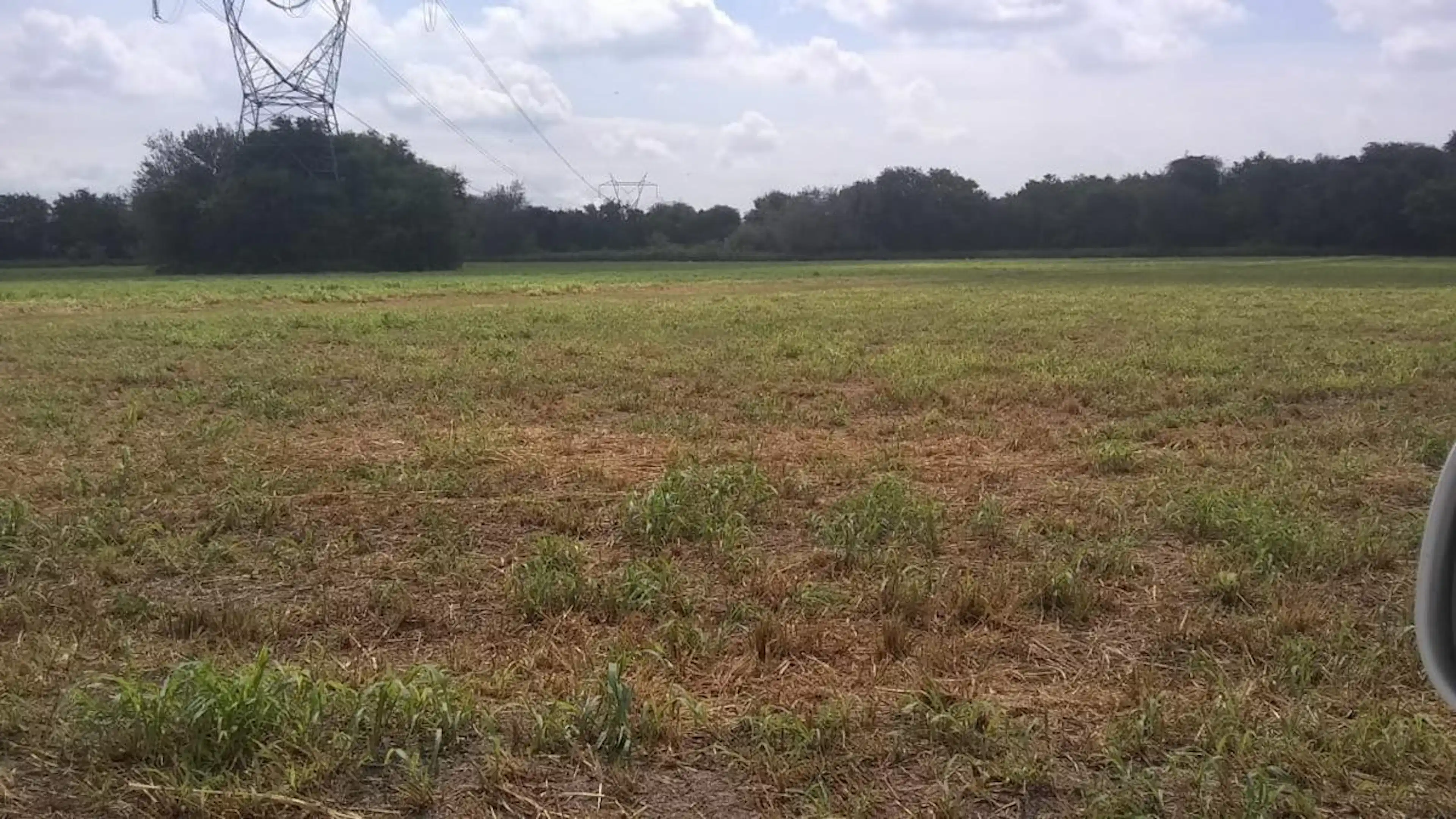 TERRENO INDUSTRIAL EN VENTA FRENTE CARRETERA MEZQUITAL APODACA NUEVO LEON DE  25530 METROS