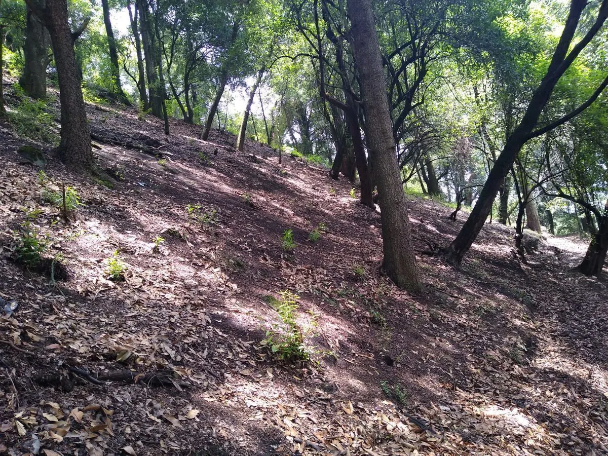 Terreno Spot2