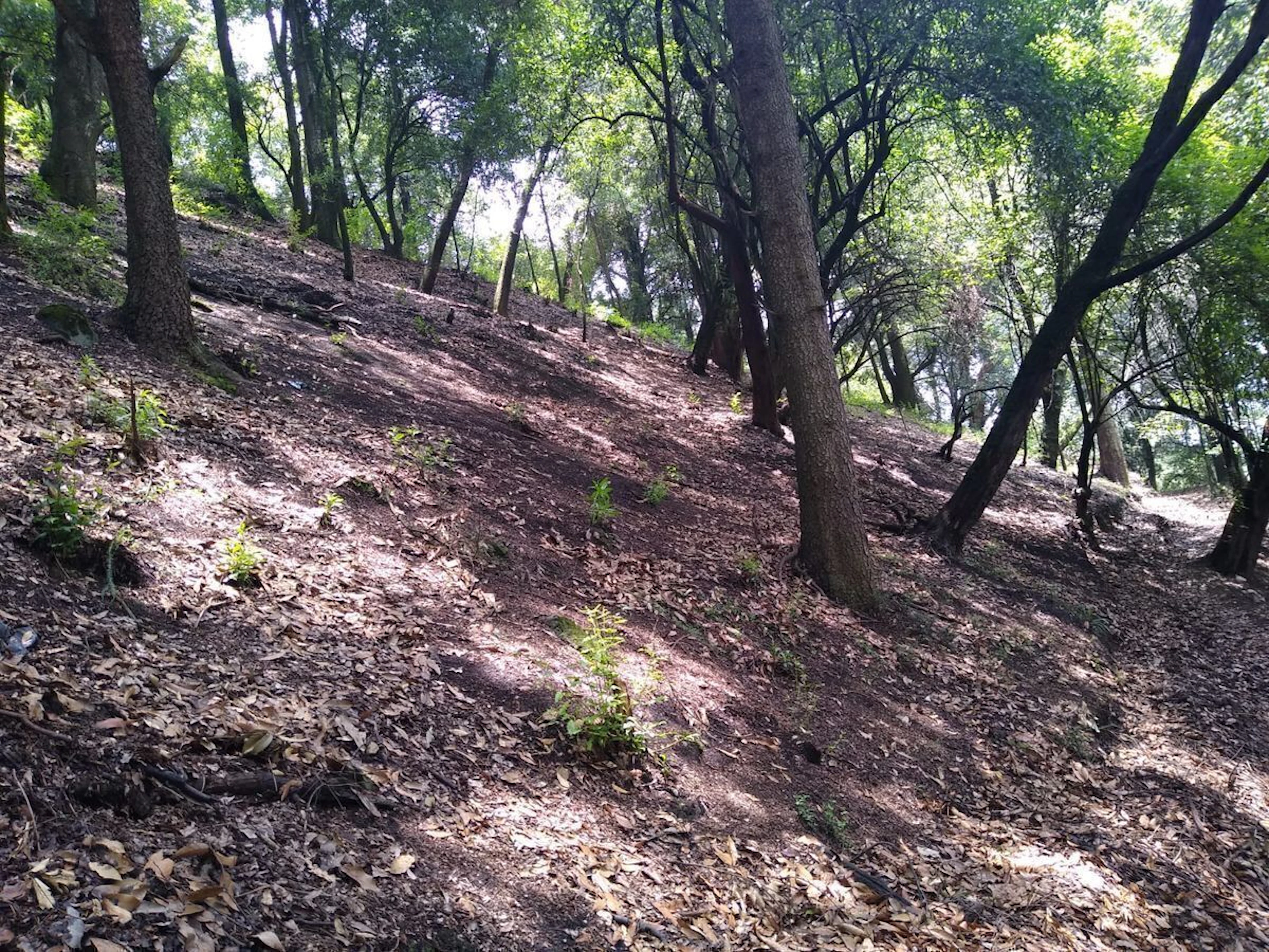 Terreno Spot2