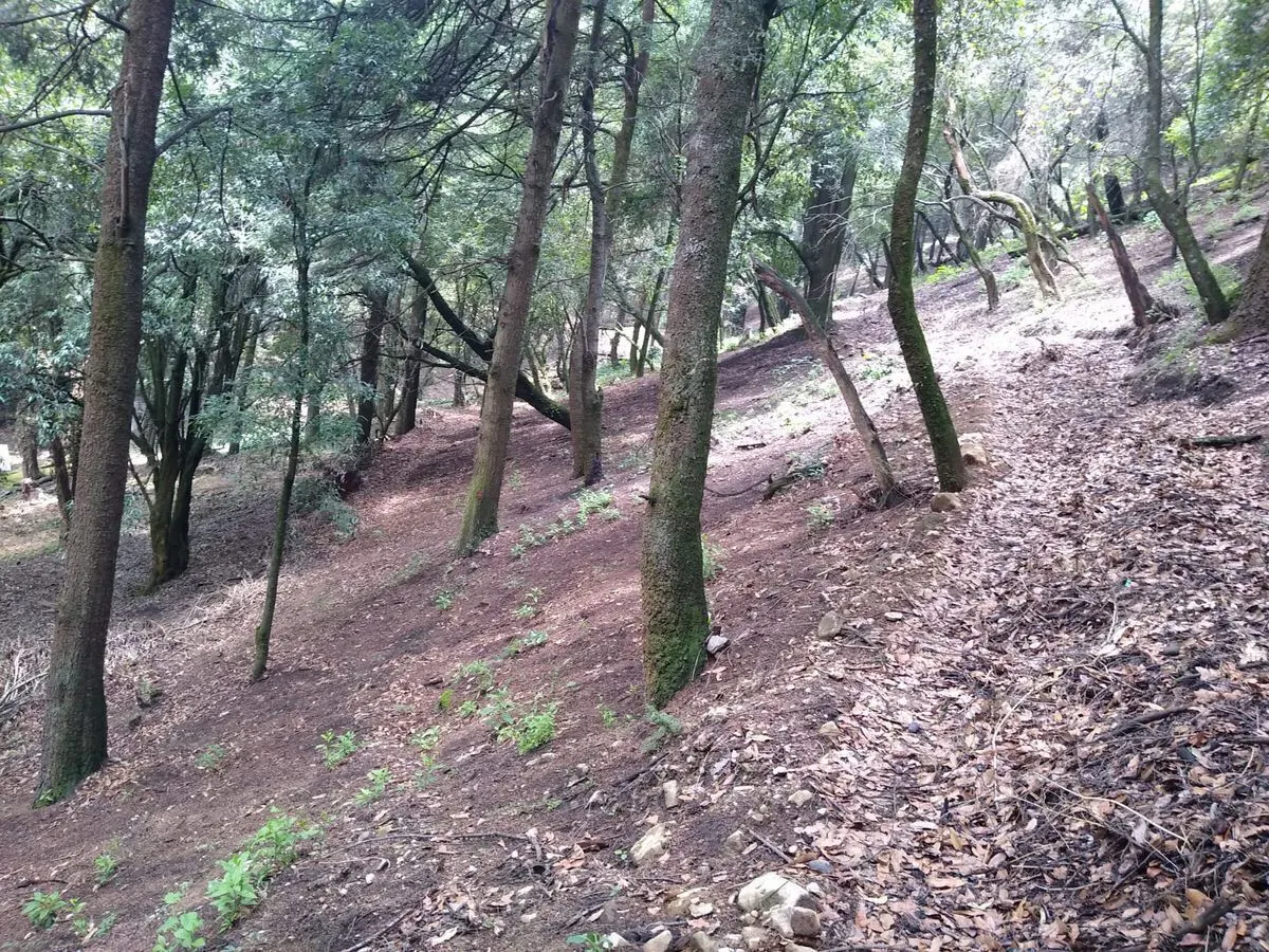 Terreno Spot2