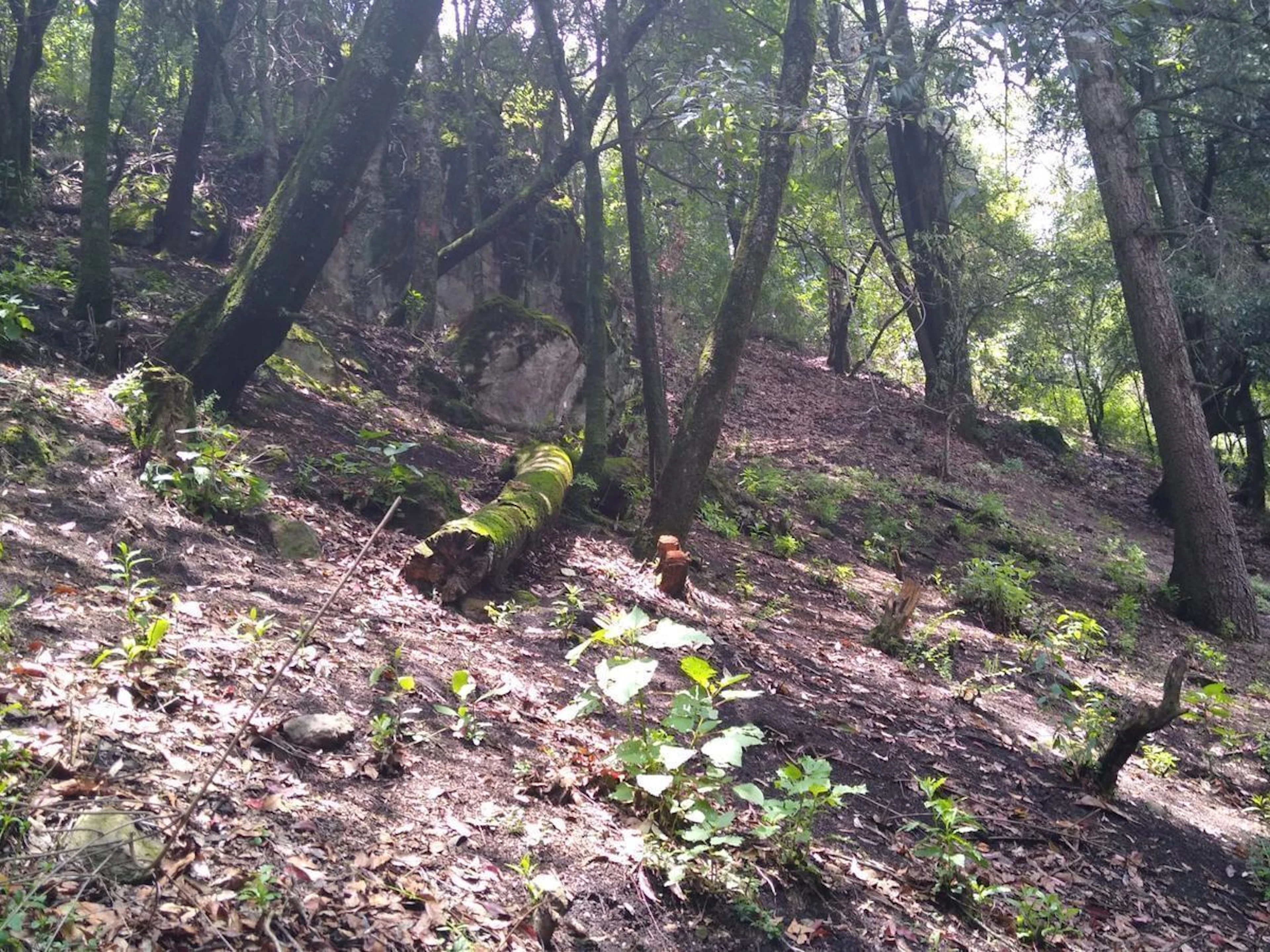 Terreno Spot2