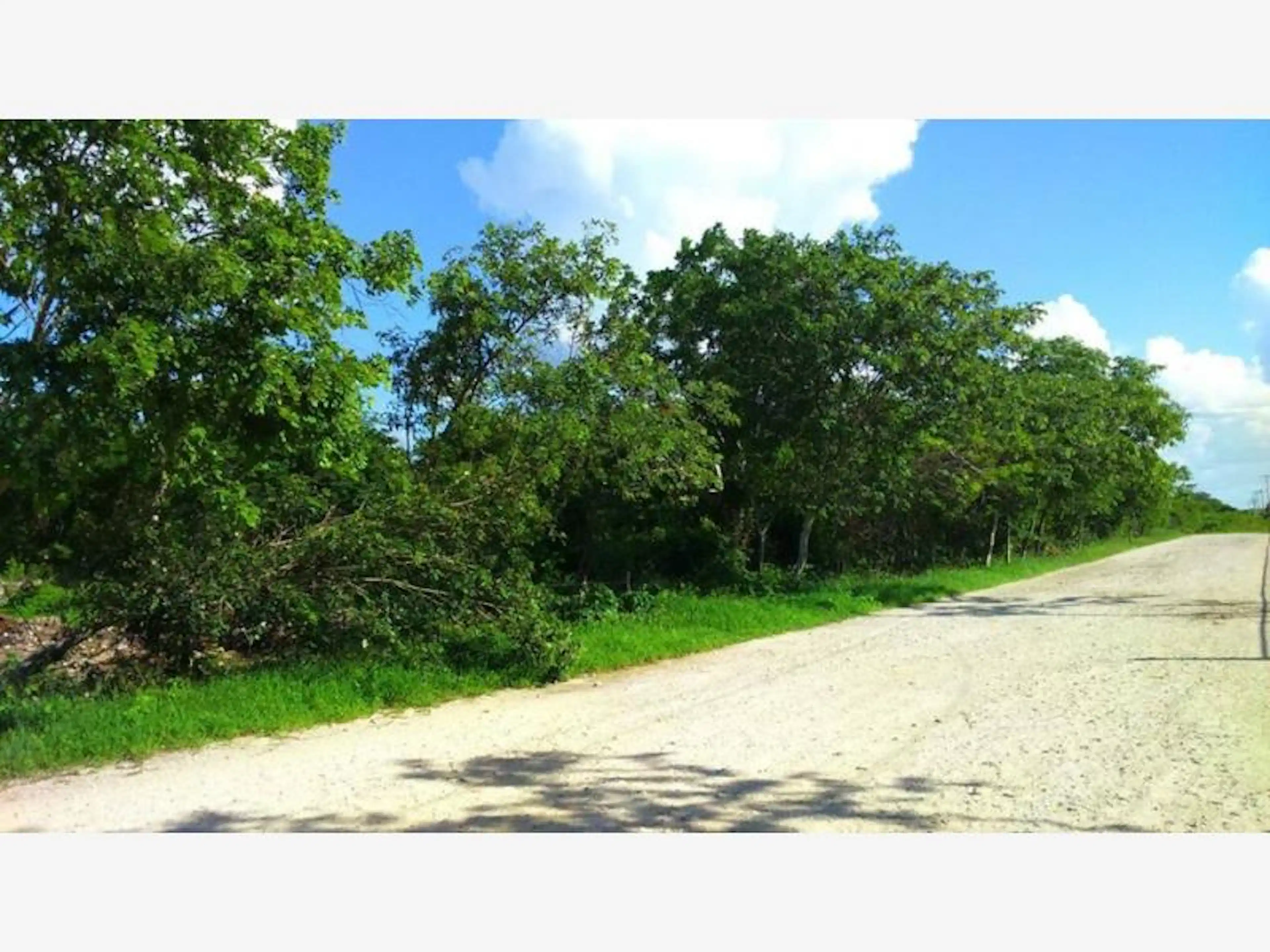 Terreno En Venta En Izamal, Izamal, Yucatán