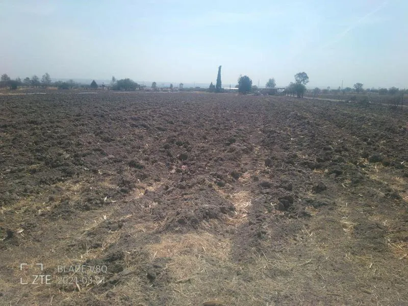 Terreno Spot2