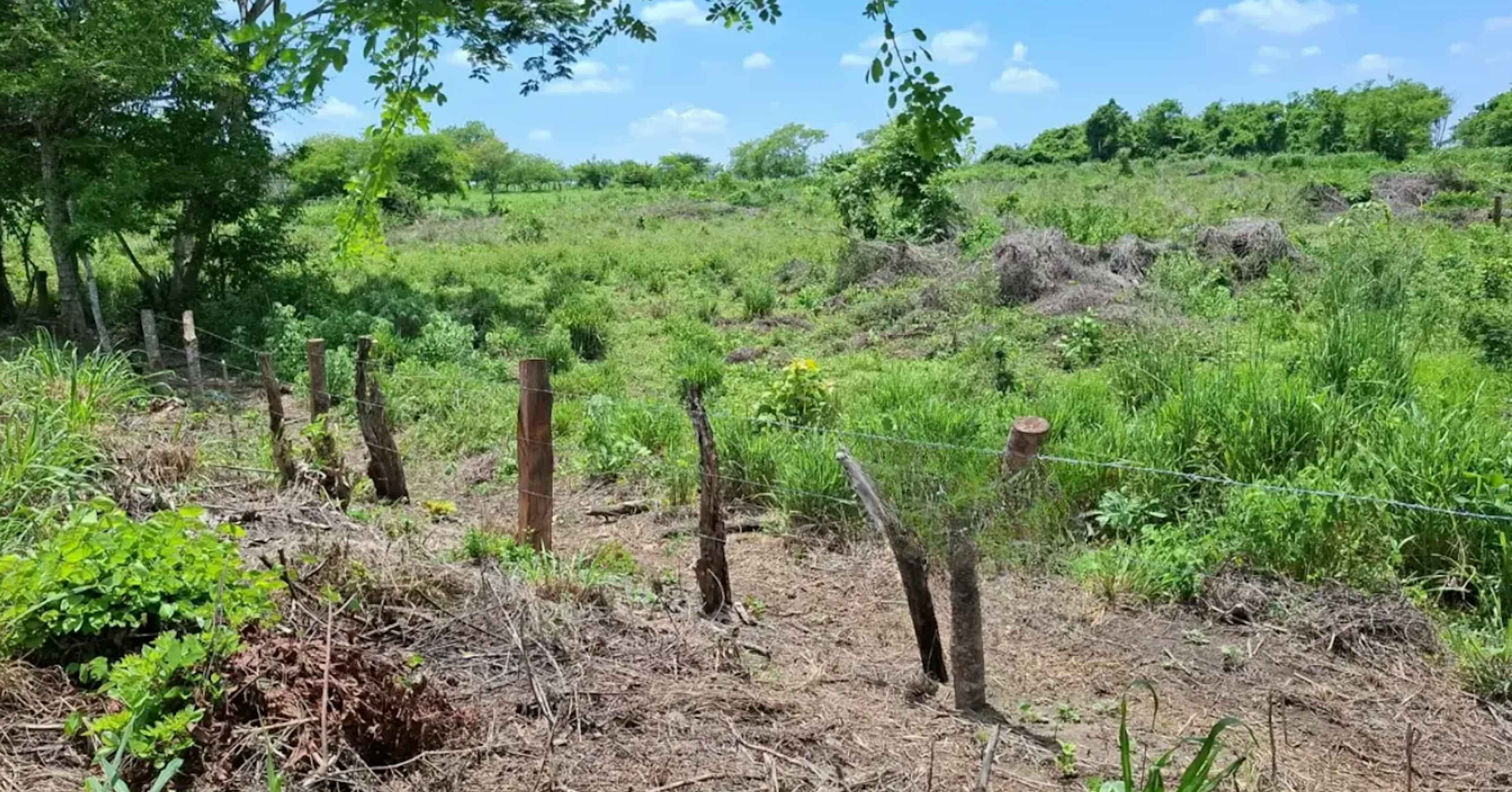 Terreno En Laguna Del Toro, Jamapa, Veracruz De Ignacio De La Llave