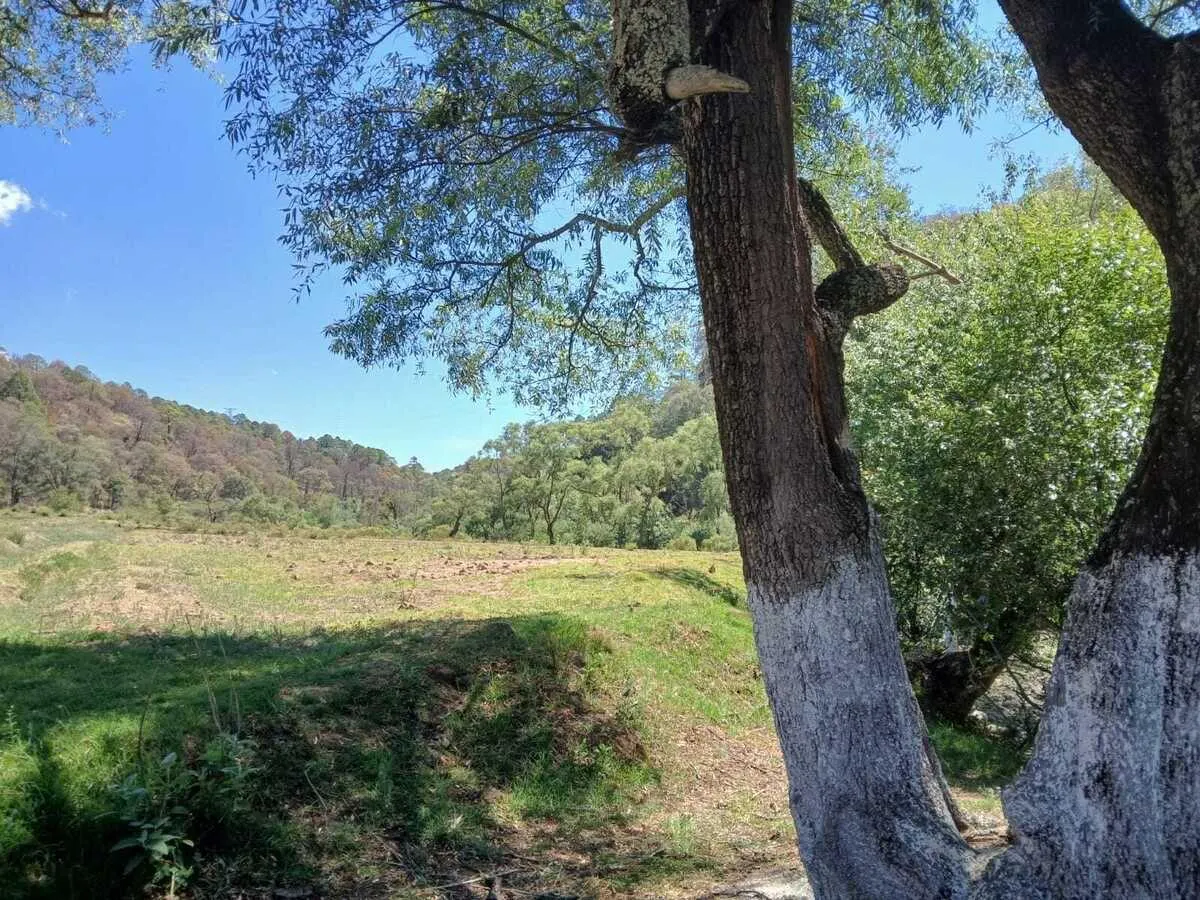 Terreno Spot2