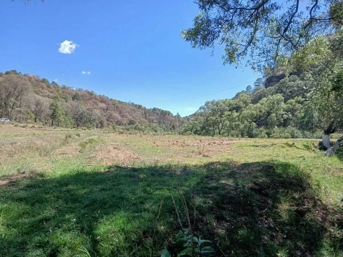 Terreno Spot2