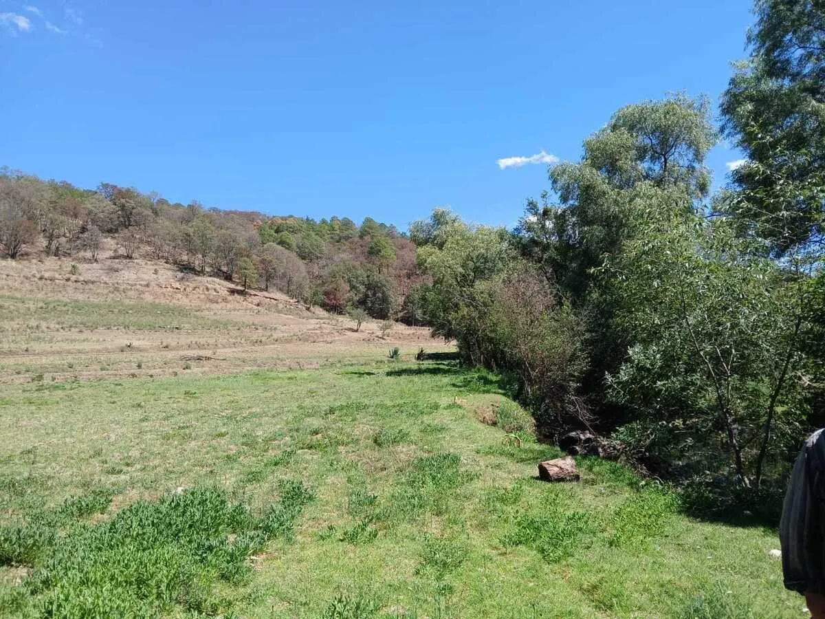 Terreno Spot2