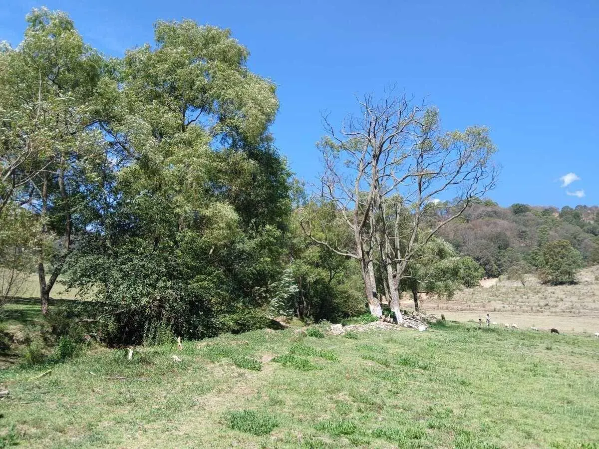 Terreno Spot2