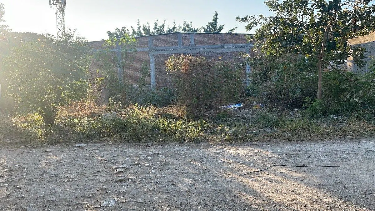 Terreno Spot2