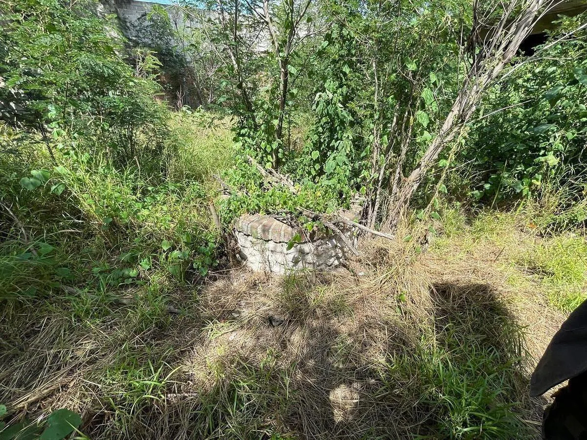 Terreno Spot2