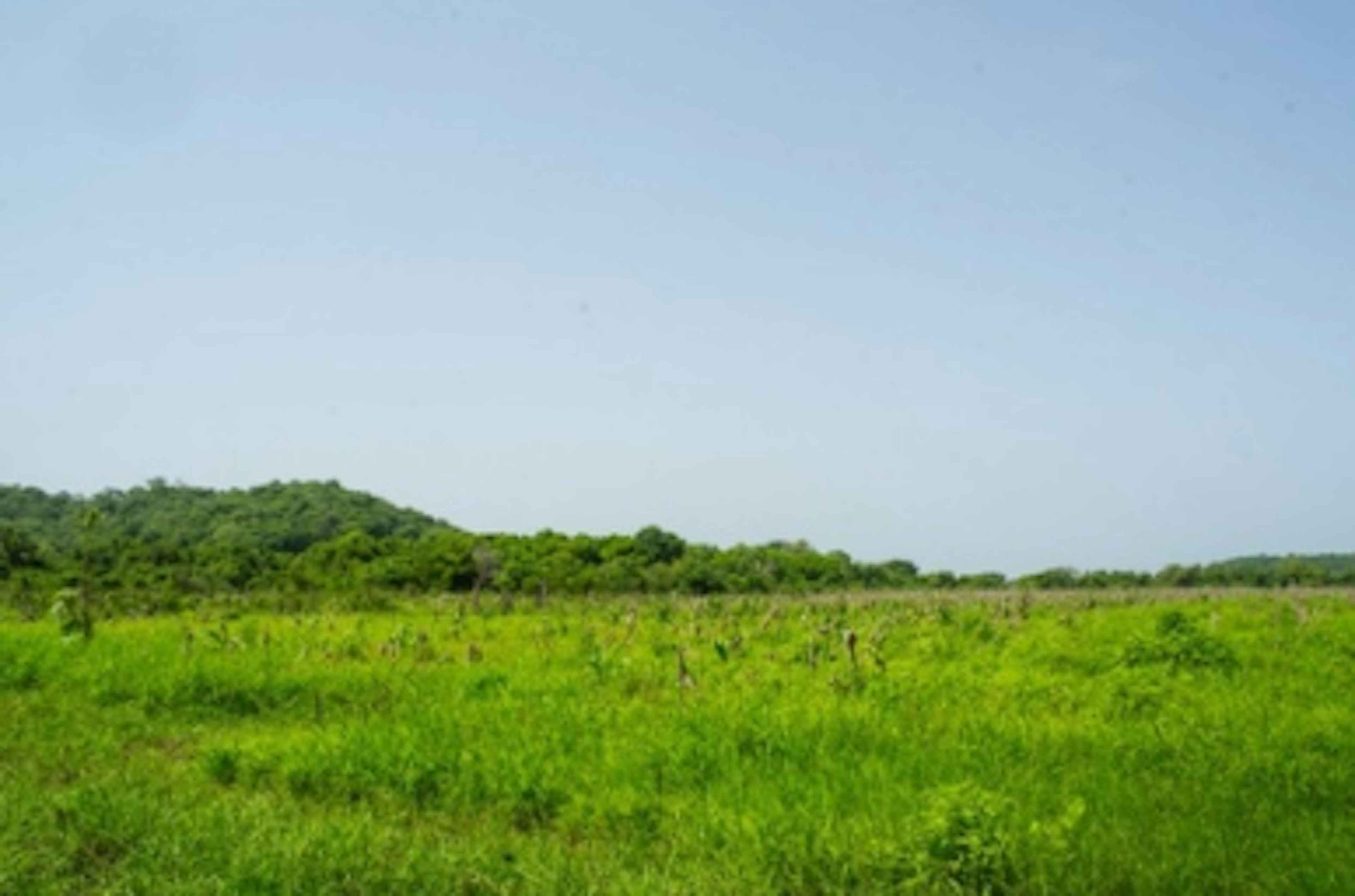 Poblado Los Bajos Del Arenal