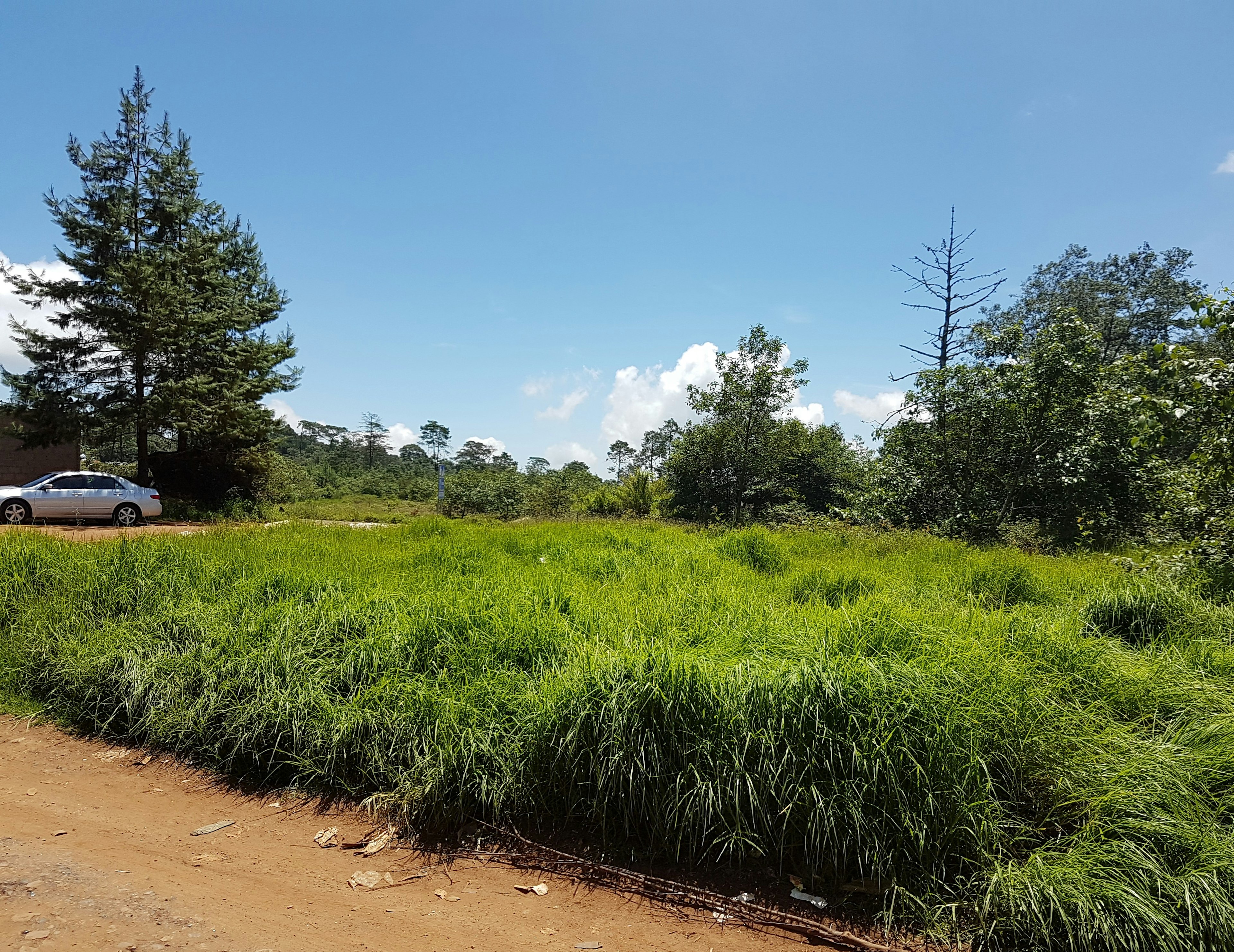 La imagen muestra un terreno sin desarrollar con potencial para el sector inmobiliario. Se observa un amplio espacio verde con césped alto y árboles al fondo, indicando una zona rural o suburbana. Hay un camino de tierra en primer plano y se ve un automóvil estacionado, sugiriendo acceso vehicular. El cielo despejado y el entorno natural ofrecen un atractivo paisaje para posible desarrollo residencial o turístico.