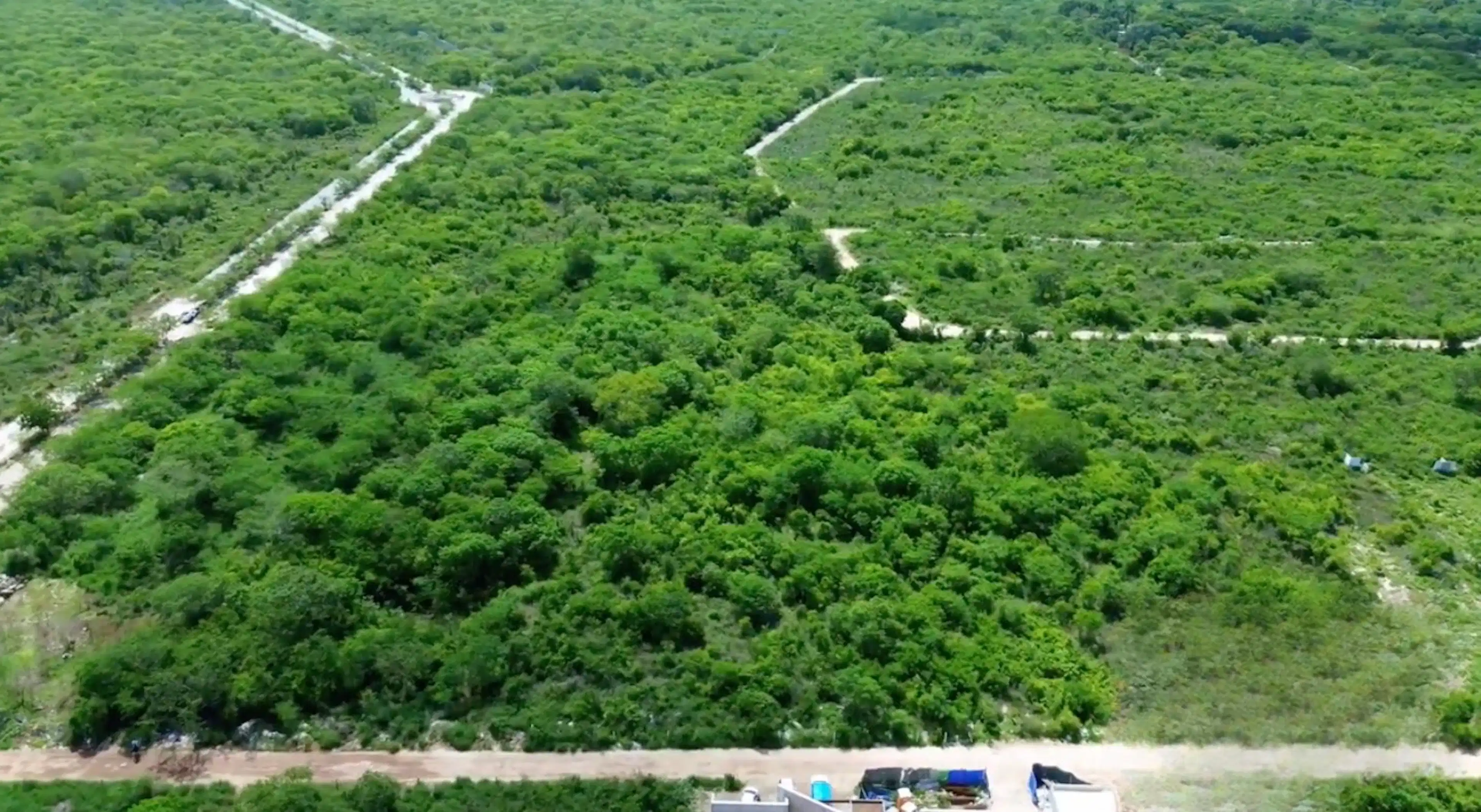 Cholul