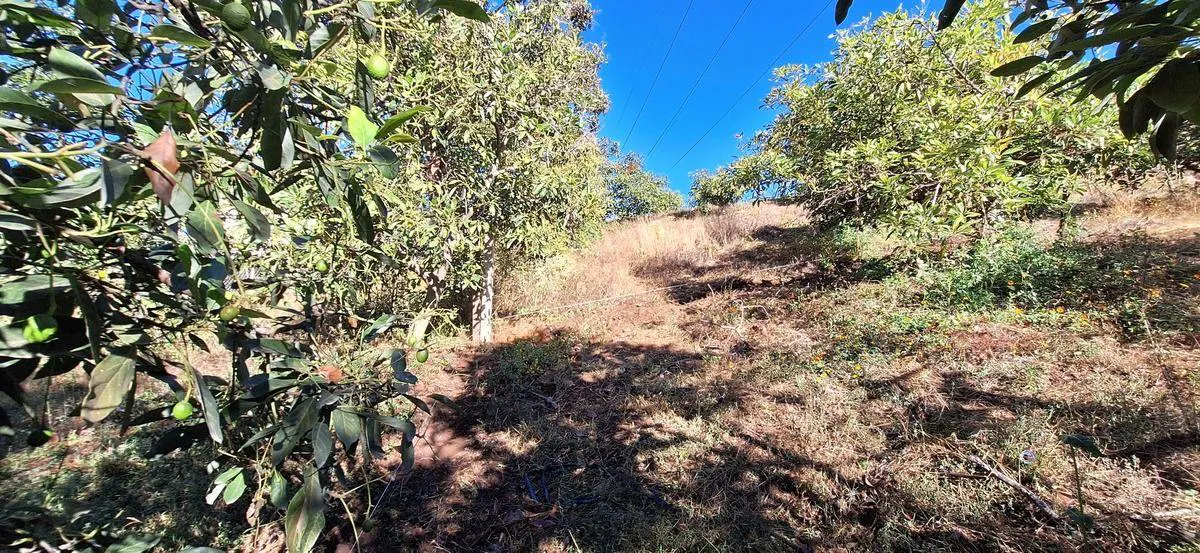 Terreno Spot2