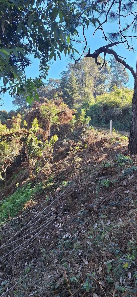 Terreno Spot2
