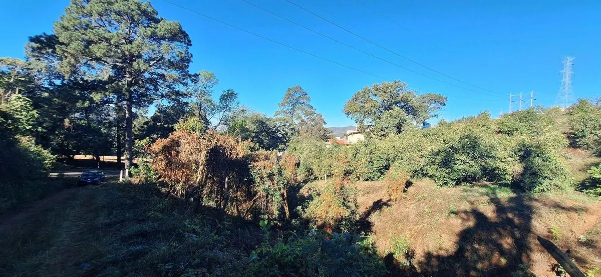 Terreno Spot2