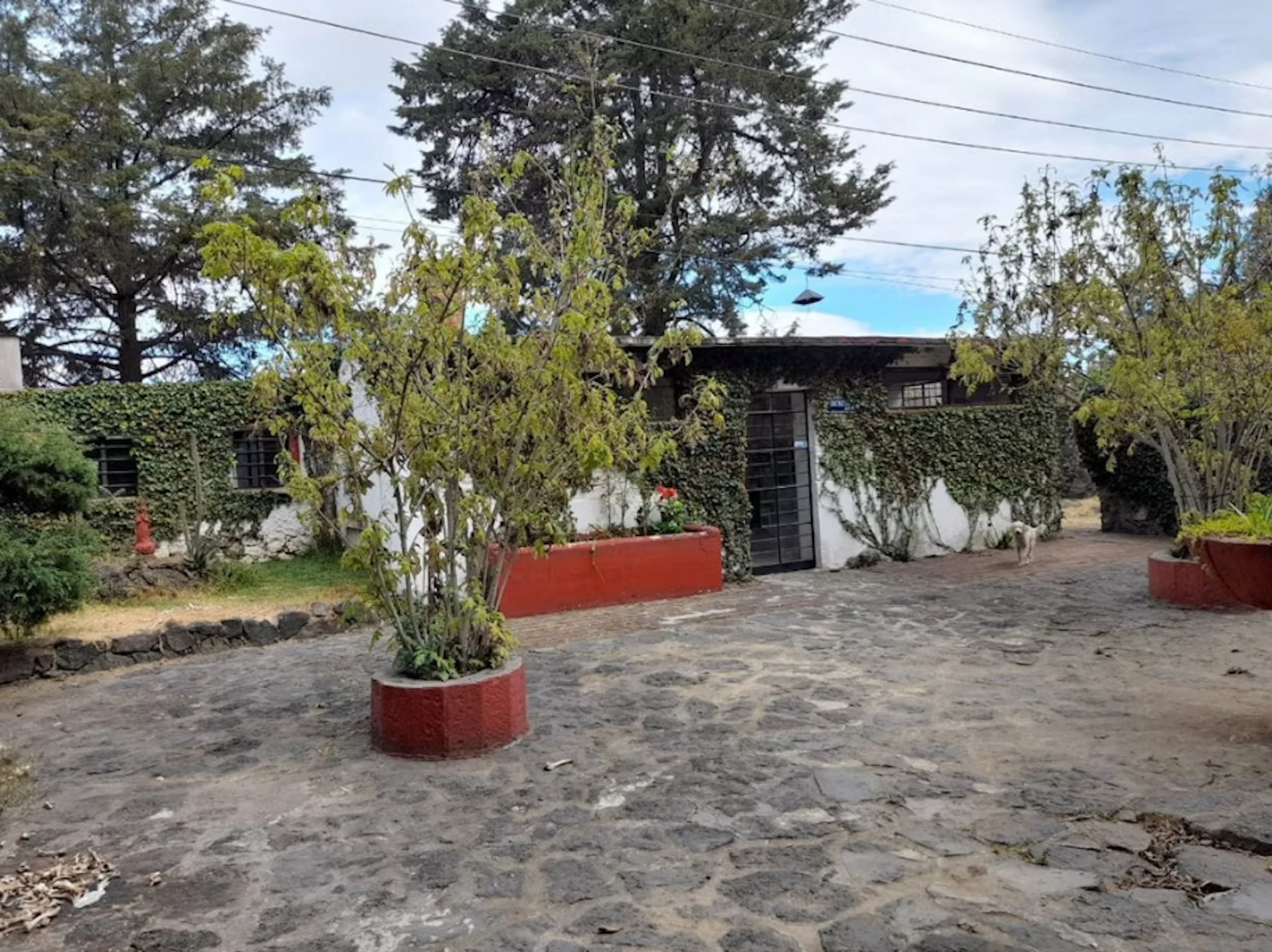 Terreno Spot2