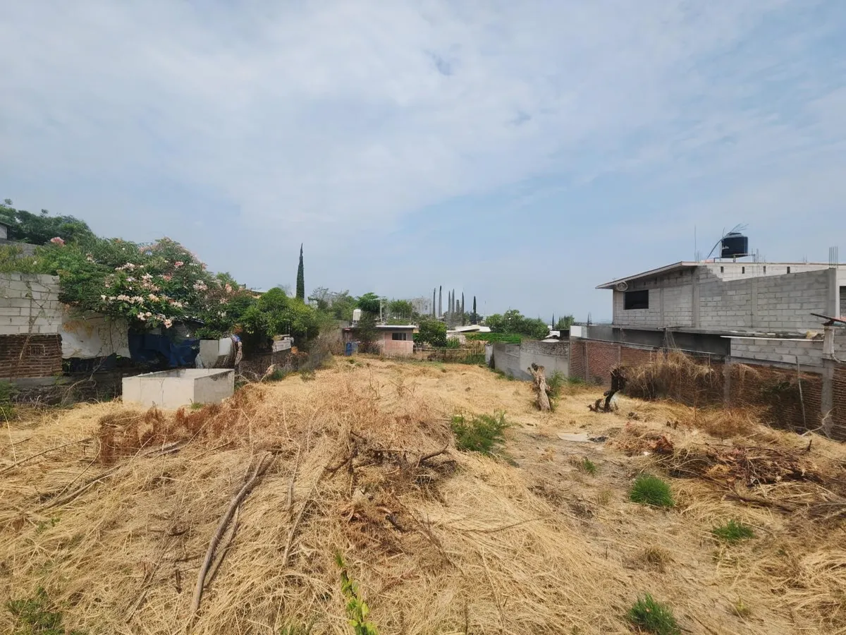 Terreno Spot2