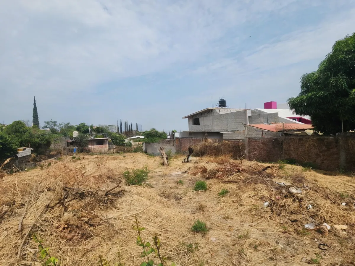 Terreno Spot2
