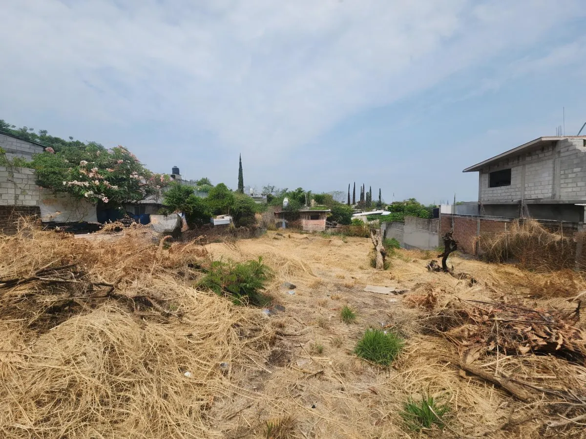 Terreno Spot2