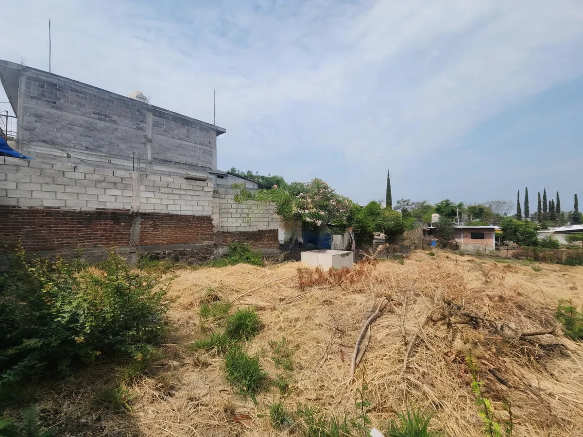 Terreno Spot2