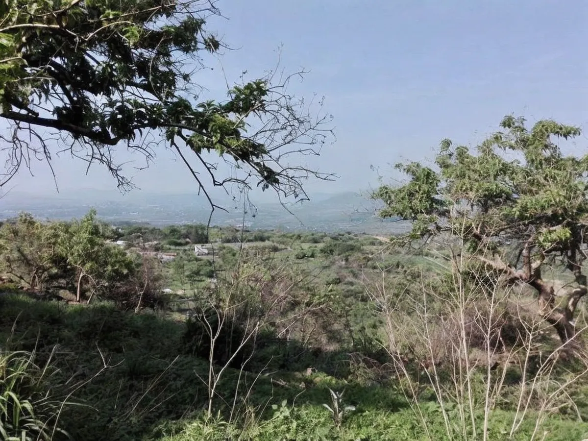 Terreno Spot2