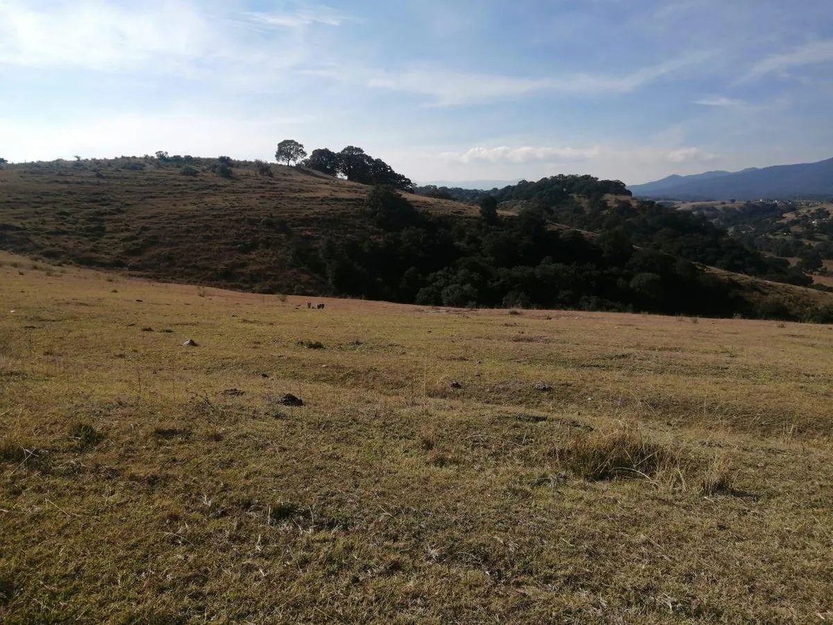 Terreno Spot2
