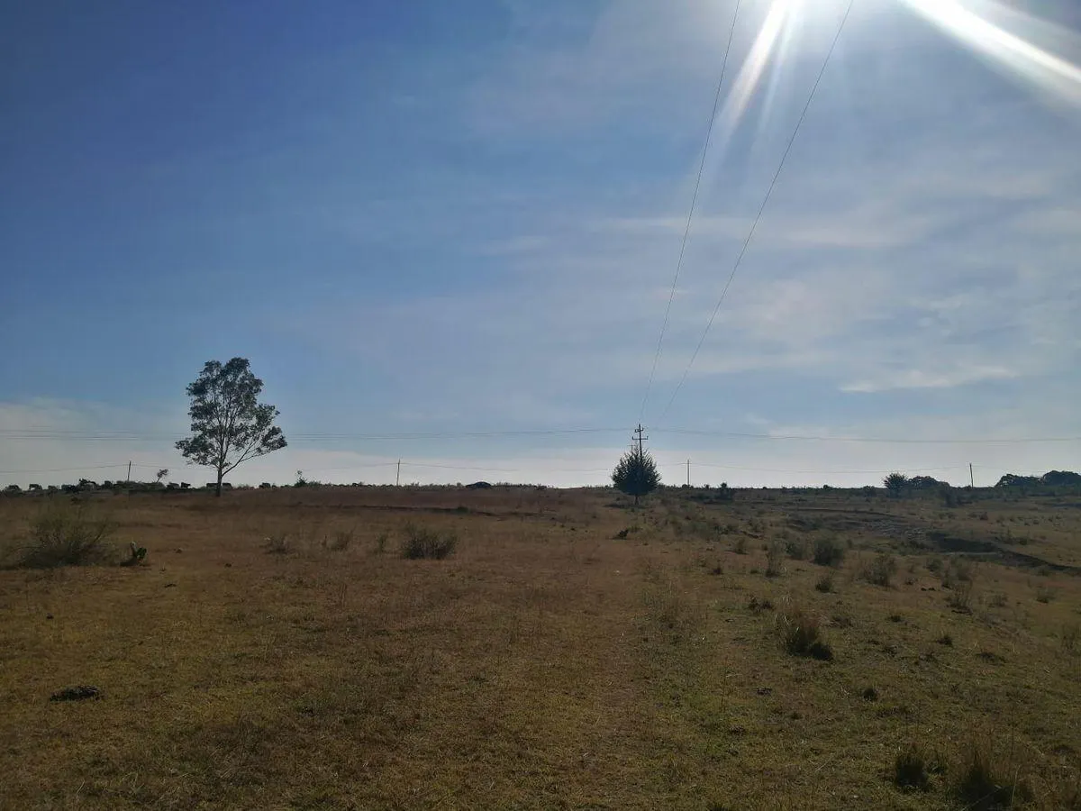 Terreno Spot2