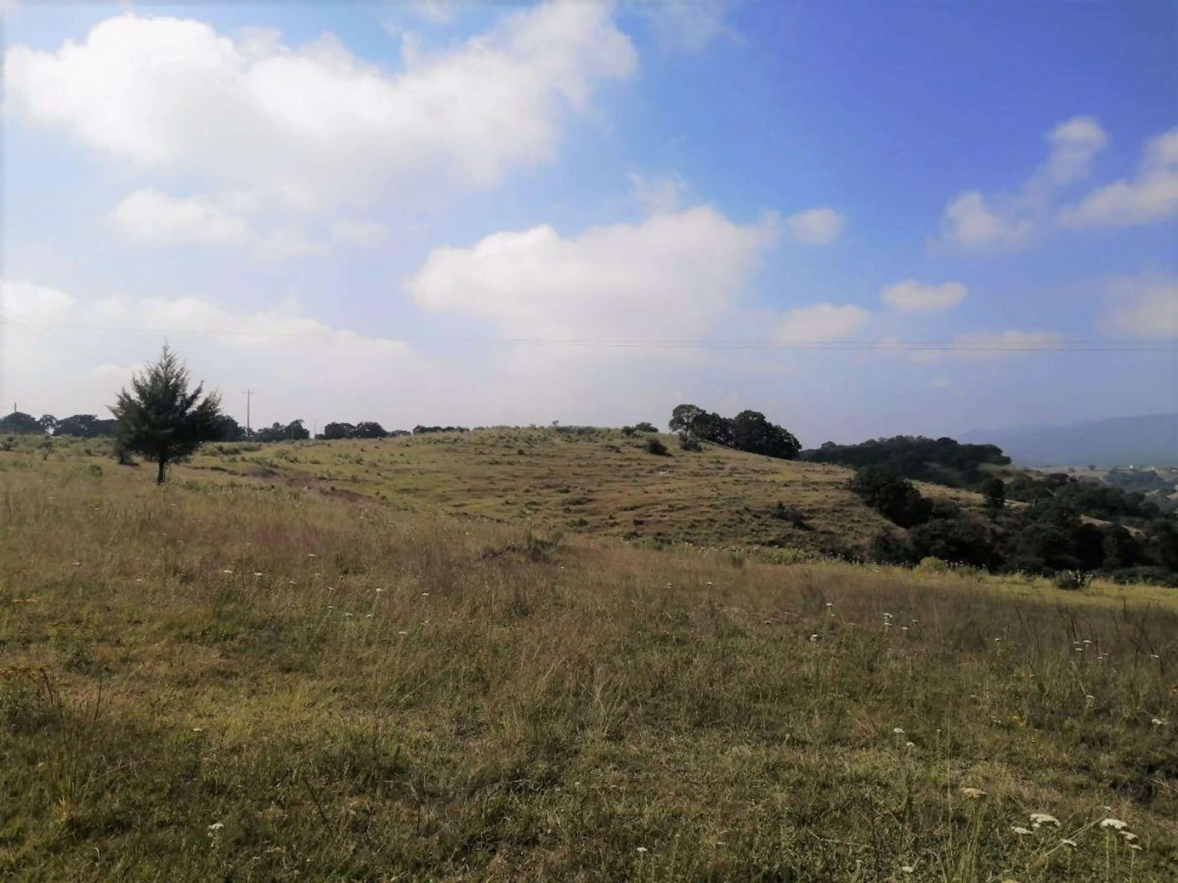 VENTA DE TERRENO EN MACAVACA, VILLA DEL CARBÓN